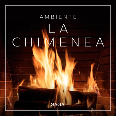 Ambiente - La chimenea