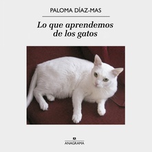 Lo que aprendemos de los gatos