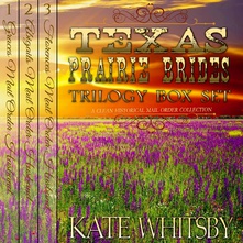 Texas Prairie Brides Trilogy
