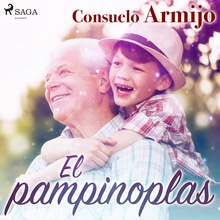 El pampinoplas