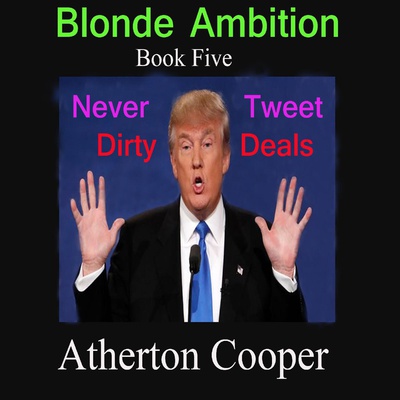 Blonde Ambition - Book Five - Never Tweet Dirty Deals