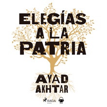 Elegías a la patria