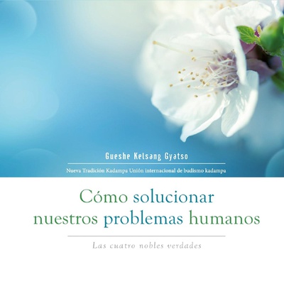 Cómo solucionar nuestros problemas humanos