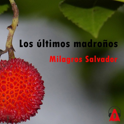 Los últimos madroños