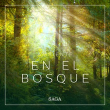 Ambiente - En el bosque