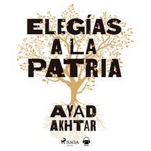 Elegías a la patria