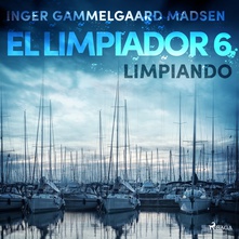 El limpiador 6: Limpiando