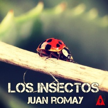 Los insectos