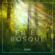 Ambiente - En el bosque