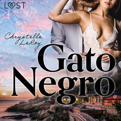 Gato Negro