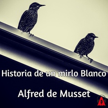 Historia de un mirlo Blanco