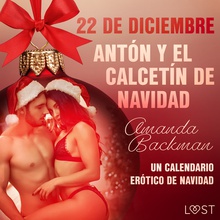 22 de diciembre: Antón y el calcetín de Navidad - un calendario erótico de Navidad