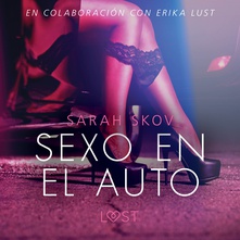 Sexo en el auto - Literatura erótica