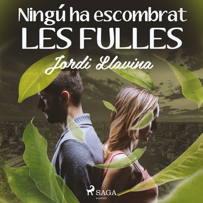 Ningú ha escombrat les fulles