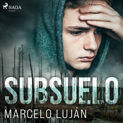 Subsuelo (audio latino)