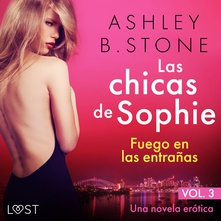 Las chicas de Sophie 3: Fuego en las entrañas - Una novela erótica